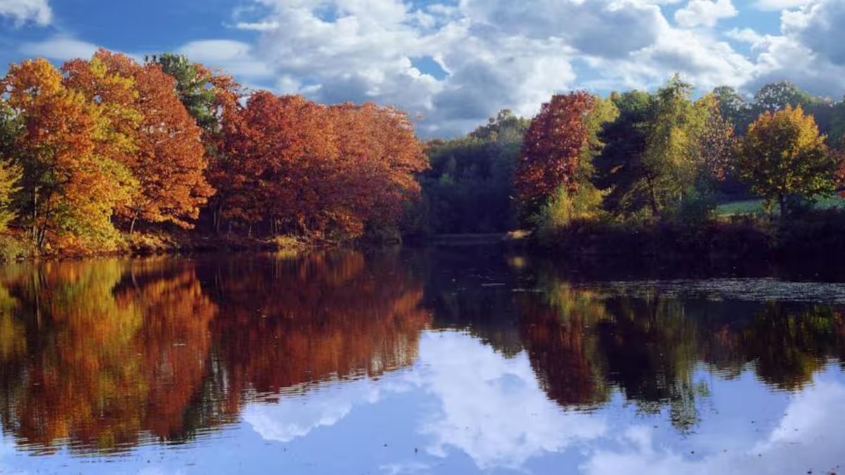 L'étang du domaine et ses arbres aux couleurs d'automne