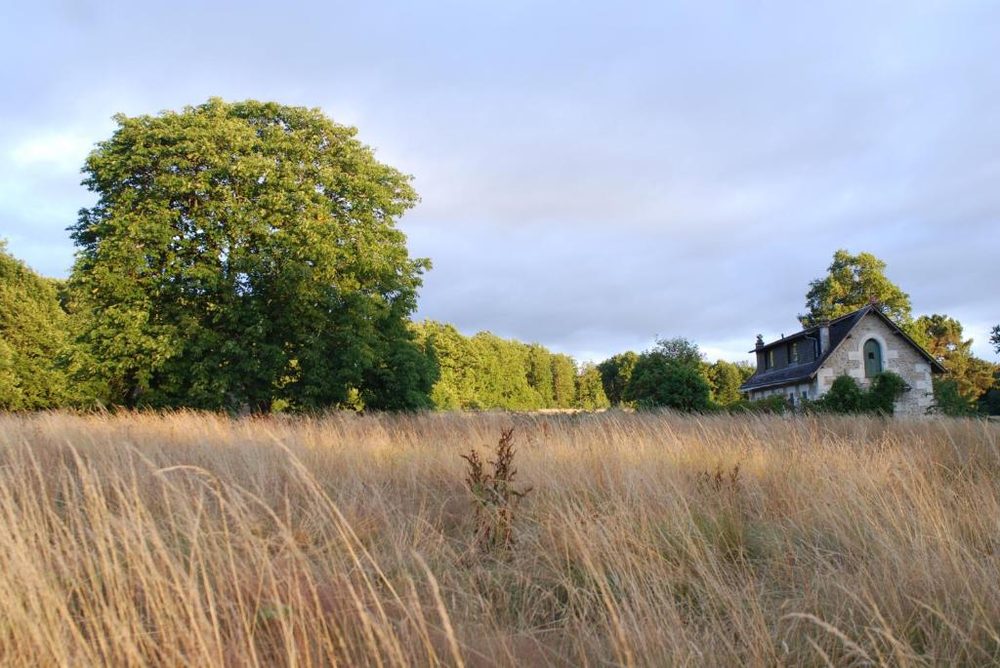 La maison seule au bout du pré, dans les hautes herbes à la lumière du soir