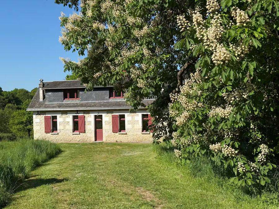 La maison en tuffeau au printemps, marronnier en fleur